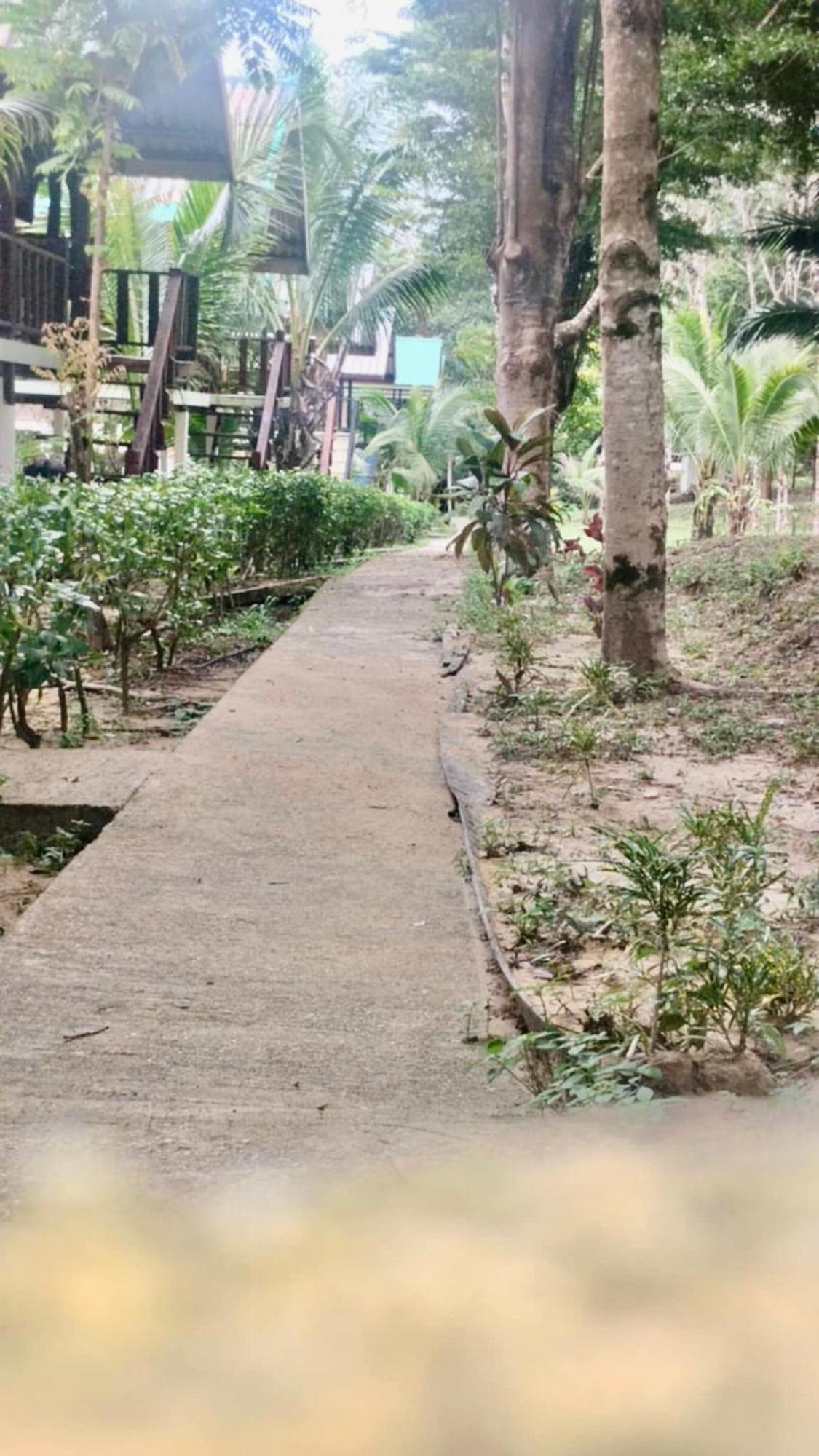Hotel Rasta House,,Koh Phayam Exterior foto